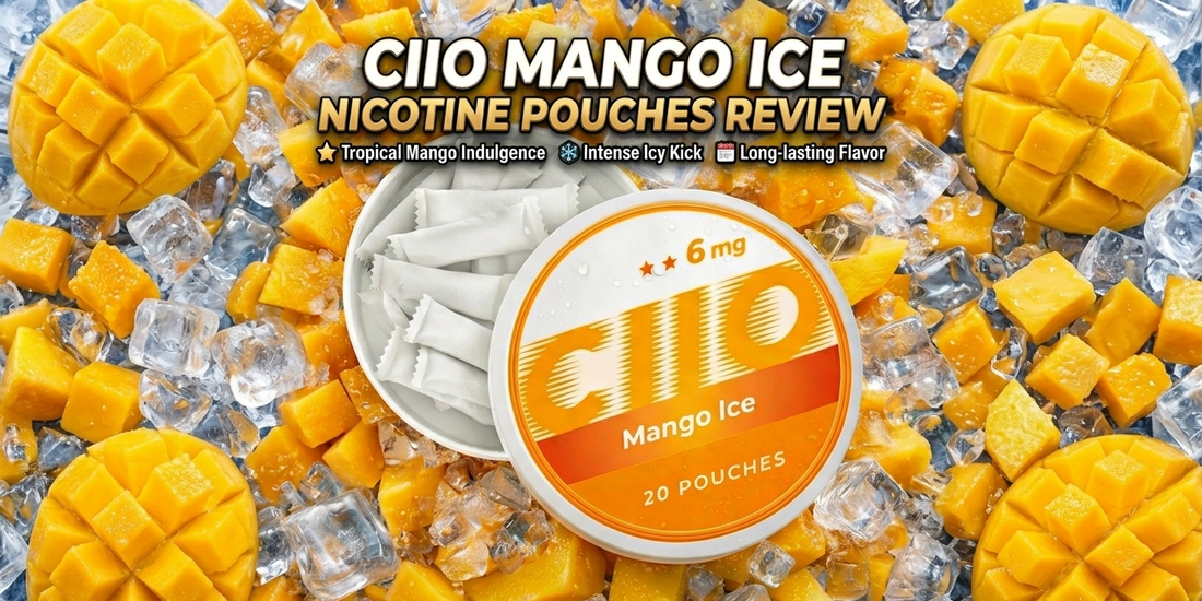 CIIO Mango Ice Nicotine Pouches Review: Tropical Mango Flavor with Icy Kick Malaysia